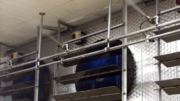 Humidification of fish canning process Humidification of fish canning process