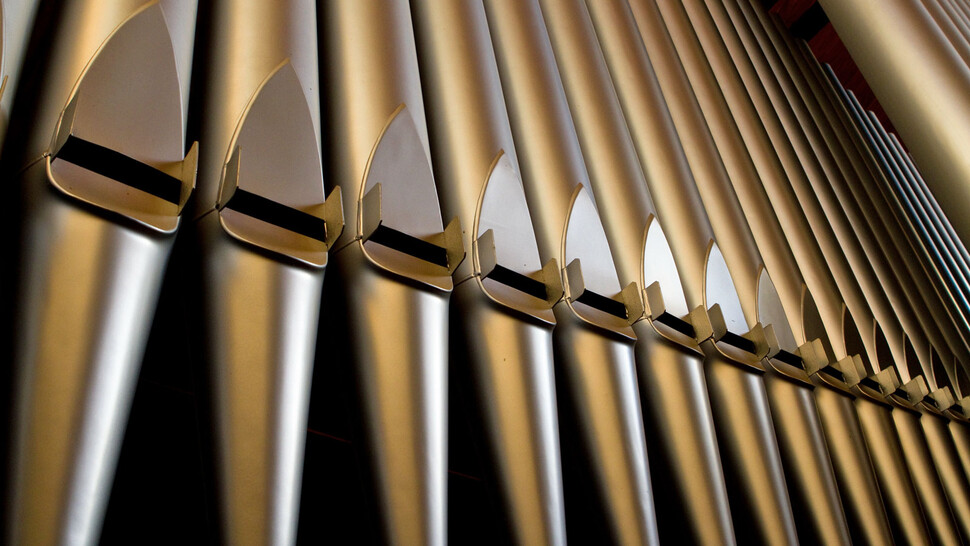 Organ humidification and humidity control